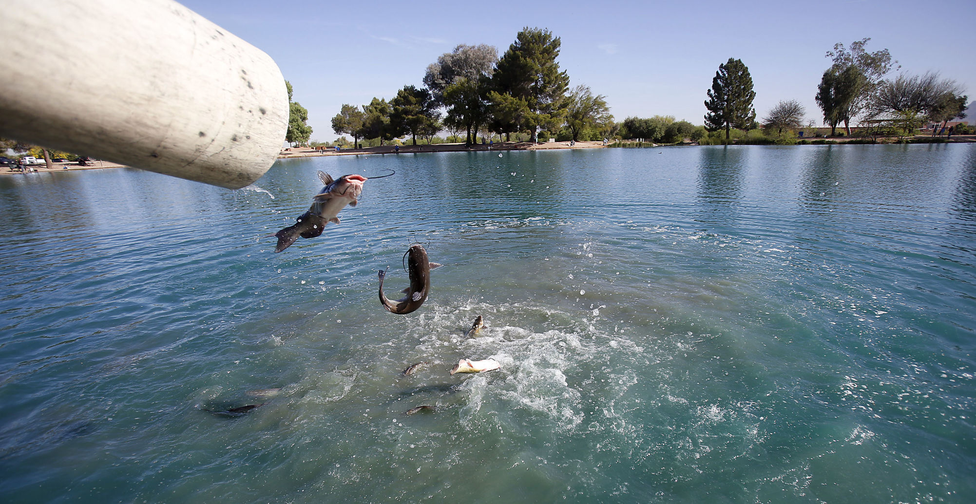 Silverbell Lake, Tucson